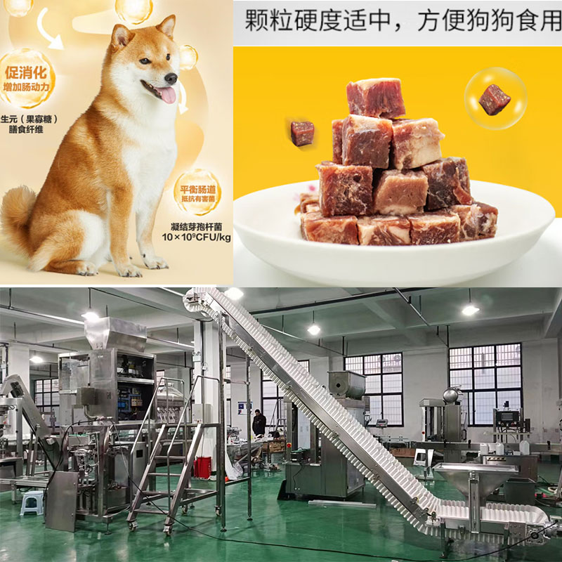 寵物成人看片APP下载設備